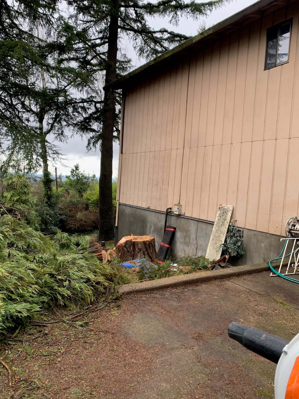 Amazonas Tree Services Image
